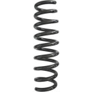 Spidan | Fahrwerksfeder | 87932