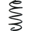 Spidan | Fahrwerksfeder | 87651