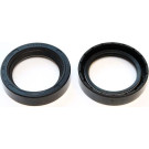 Elring | Dichtring | 303.291