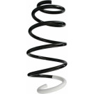Spidan | Fahrwerksfeder | 86579
