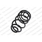 4263484 Fahrwerksfeder