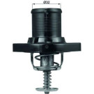 TI 182 89 Thermostat, Kühlmittel BEHR