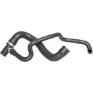 2420002 Kühlerschlauch