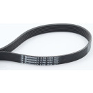 ContiTech | Keilrippenriemen | 6PK1538 ContiTech | Keilrippenriemen | 6PK1538