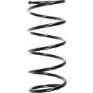 Spidan | Fahrwerksfeder | 56062