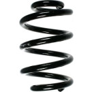 Spidan | Fahrwerksfeder | 55996