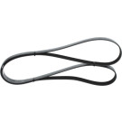 1 987 946 283 Keilrippenriemen