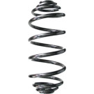 Spidan | Fahrwerksfeder | 87221
