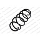 4095079 Fahrwerksfeder