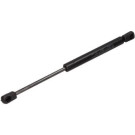 12-1565 Gasfeder, Koffer-/Laderaum 12-1565 Gasfeder, Koffer-/Laderaum