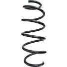 Spidan | Fahrwerksfeder | 87469