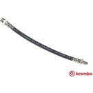 Brembo | Bremsschlauch | T 23 043
