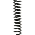Spidan | Fahrwerksfeder | 48671