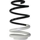 Spidan | Fahrwerksfeder | 88008