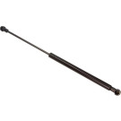 12-1769 Gasfeder, Motorhaube