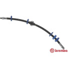Brembo | Bremsschlauch | T 23 051