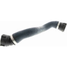 Vaico | Kühlerschlauch | V20-1336