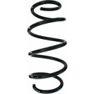 Spidan | Fahrwerksfeder | 87703