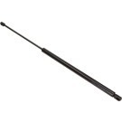 Maxgear | Gasfeder, Koffer-/Laderaum | 12-1704