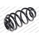 4263498 Fahrwerksfeder