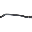 2420005 Kühlerschlauch