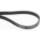 ContiTech | Keilrippenriemen | 5PK1334