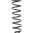 Spidan | Fahrwerksfeder | 56603