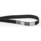 CT622 Zahnriemen CT622 Zahnriemen