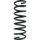Spidan | Fahrwerksfeder | 87793