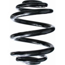 Spidan | Fahrwerksfeder | 85708