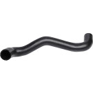 2420062 Kühlerschlauch