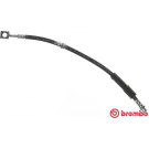 Brembo | Bremsschlauch | T 59 080