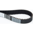 ContiTech | Zahnriemen | CT947