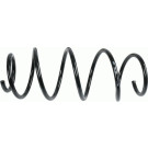 998 100 Fahrwerksfeder