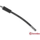 Brembo | Bremsschlauch | T 85 066