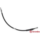 Brembo | Bremsschlauch | T 24 119