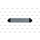 30977 Ladeluftkühler