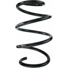 Spidan | Fahrwerksfeder | 87427