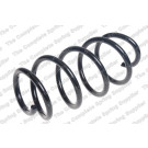 4095123 Fahrwerksfeder