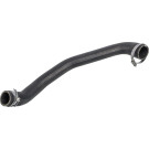 FEBI BILSTEIN 170774 Ladeluftschlauch