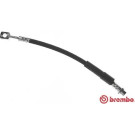 Brembo | Bremsschlauch | T 59 077