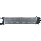 NRF | Kühler, Motorkühlung | 550026
