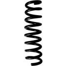 Spidan | Fahrwerksfeder | 87934