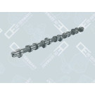 OE Germany | Nockenwelle | 02 0500 206600