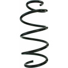 Spidan 2 x SPIDAN Fahrwerksfeder 87553