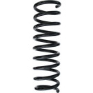 Spidan | Fahrwerksfeder | 87106