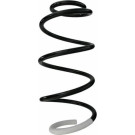Spidan | Fahrwerksfeder | 87247