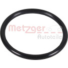 Metzger | Dichtring, Lader | 2430159