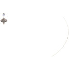 BOSCH | Glühlampe | 1 987 301 137