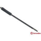 T 61 041 Bremsschlauch ESSENTIAL LINE